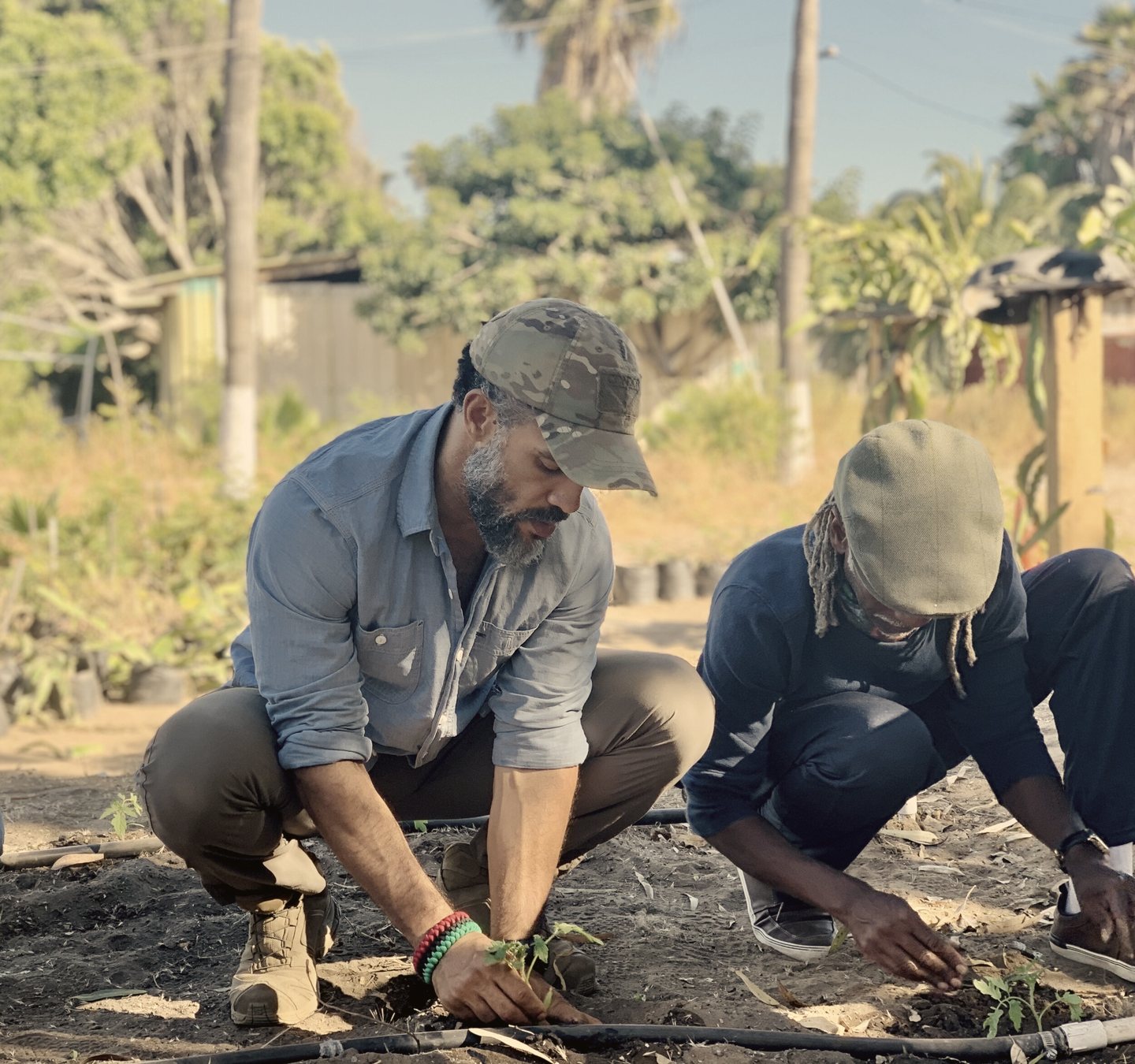 Planting seedlings at Mud and Lotus Farms